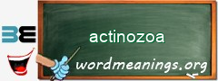 WordMeaning blackboard for actinozoa